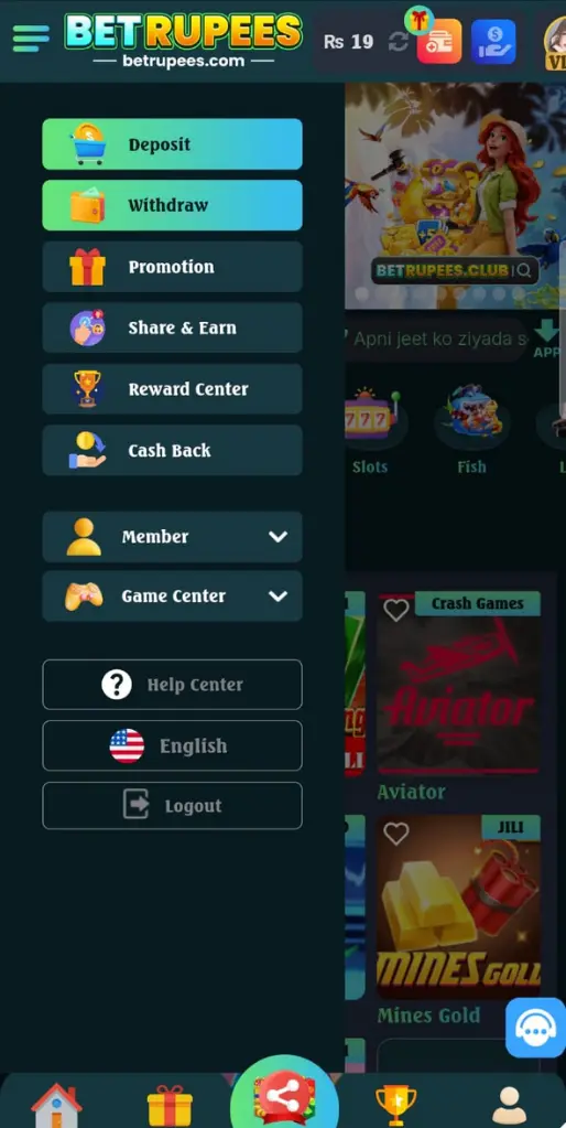 BetRupees account control panel and wallet menu